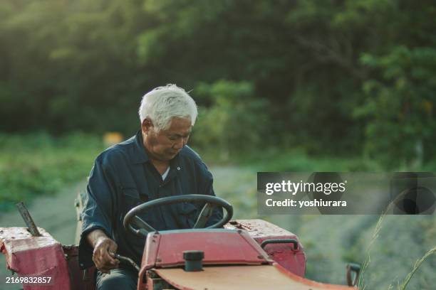 senior men pass on agriculture to young people - farmer stock pictures, royalty-free photos & images