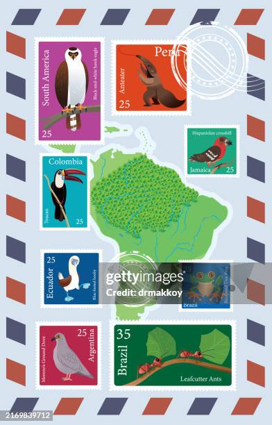 south america map and
animal stamps envelope - punta cana dominican republic stock illustrations