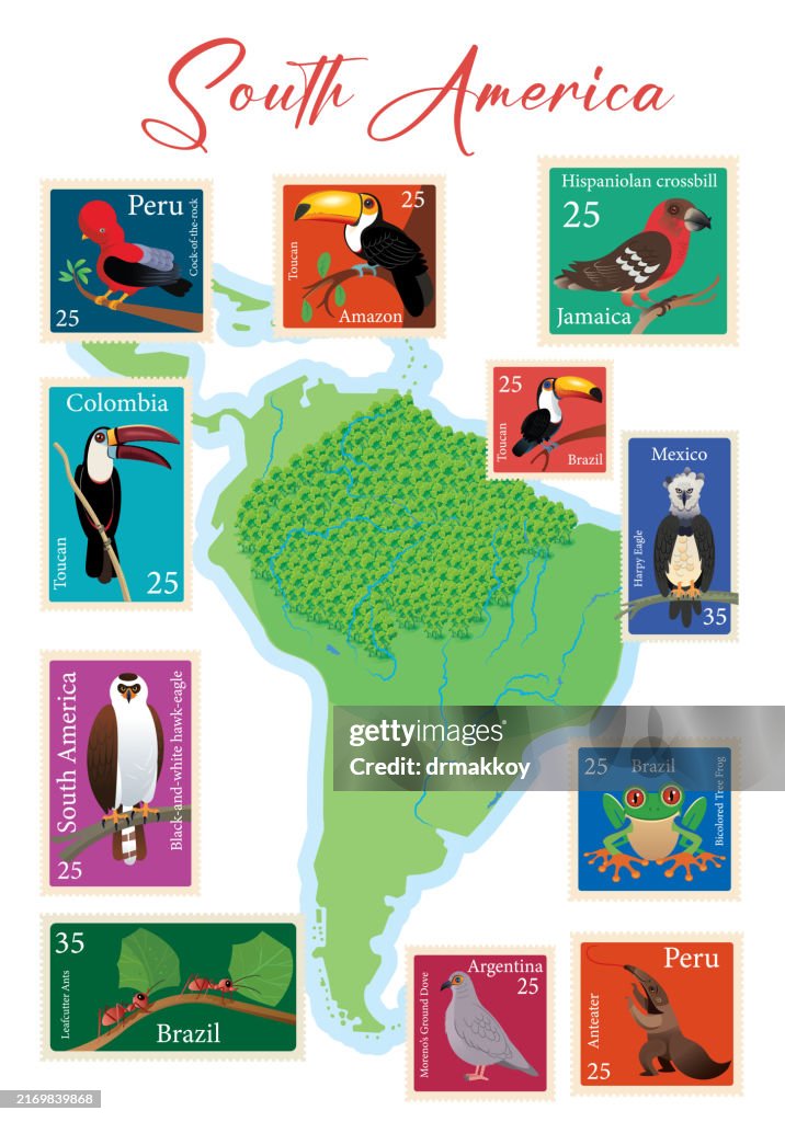 南アメリカの地図とアマゾンの動物