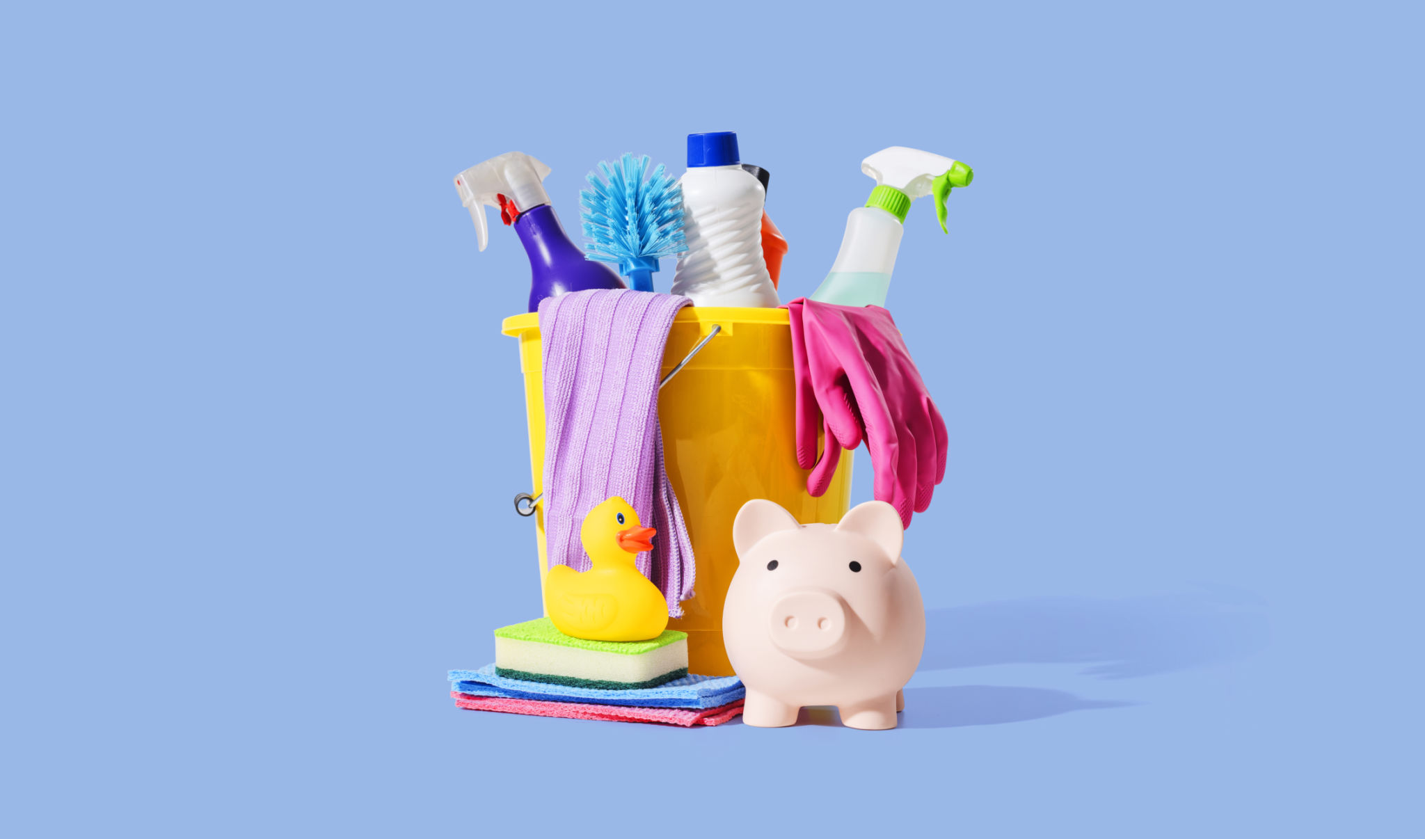 budget cleaning supplies