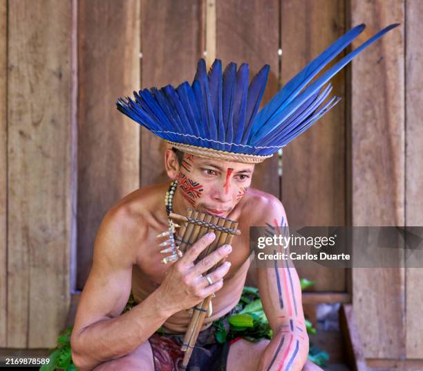 Indigenous Amazonian Instruments 2,104 Traditional Brazilian Instrument Stock Photos, High-Res Pictures ...
