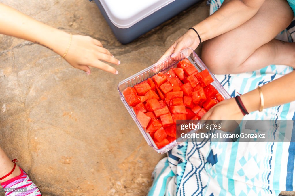 Women sharing fresh watermelon on summer picnic