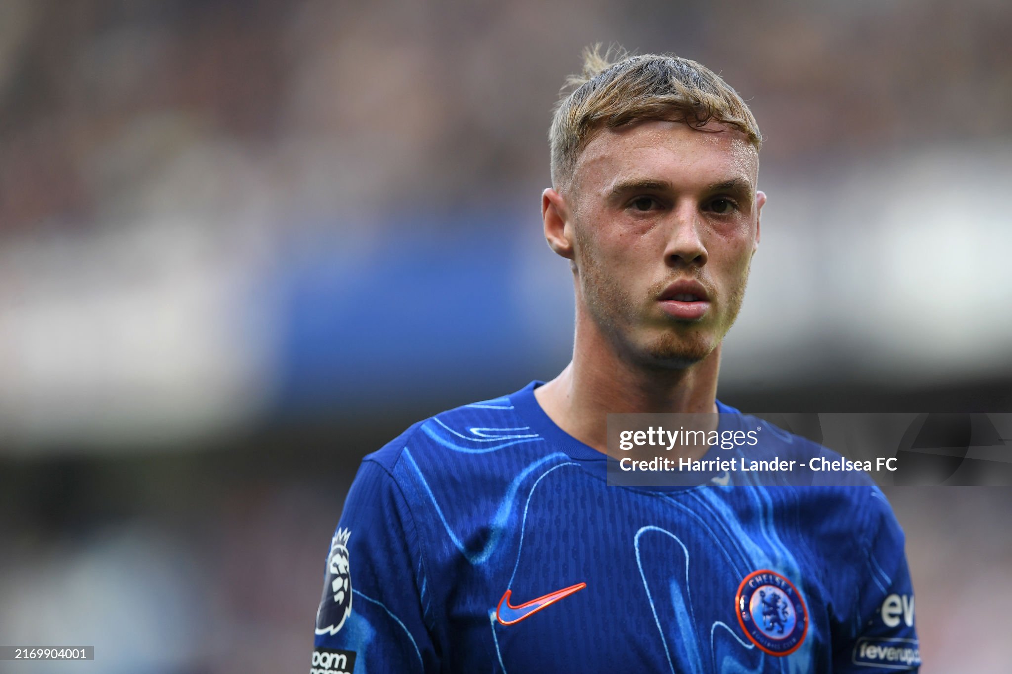 Chelsea Does Not Register Cole Palmer For The Regular Phase Of The chelsea-does-not-register-cole-palmer-for-the-regular-phase-of-the