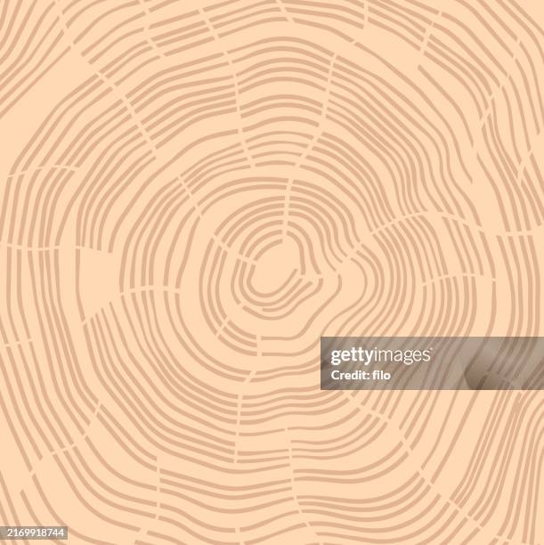 ilustraciones, imágenes clip art, dibujos animados e iconos de stock de anillos de árbol fondo de grano de madera - veta de madera