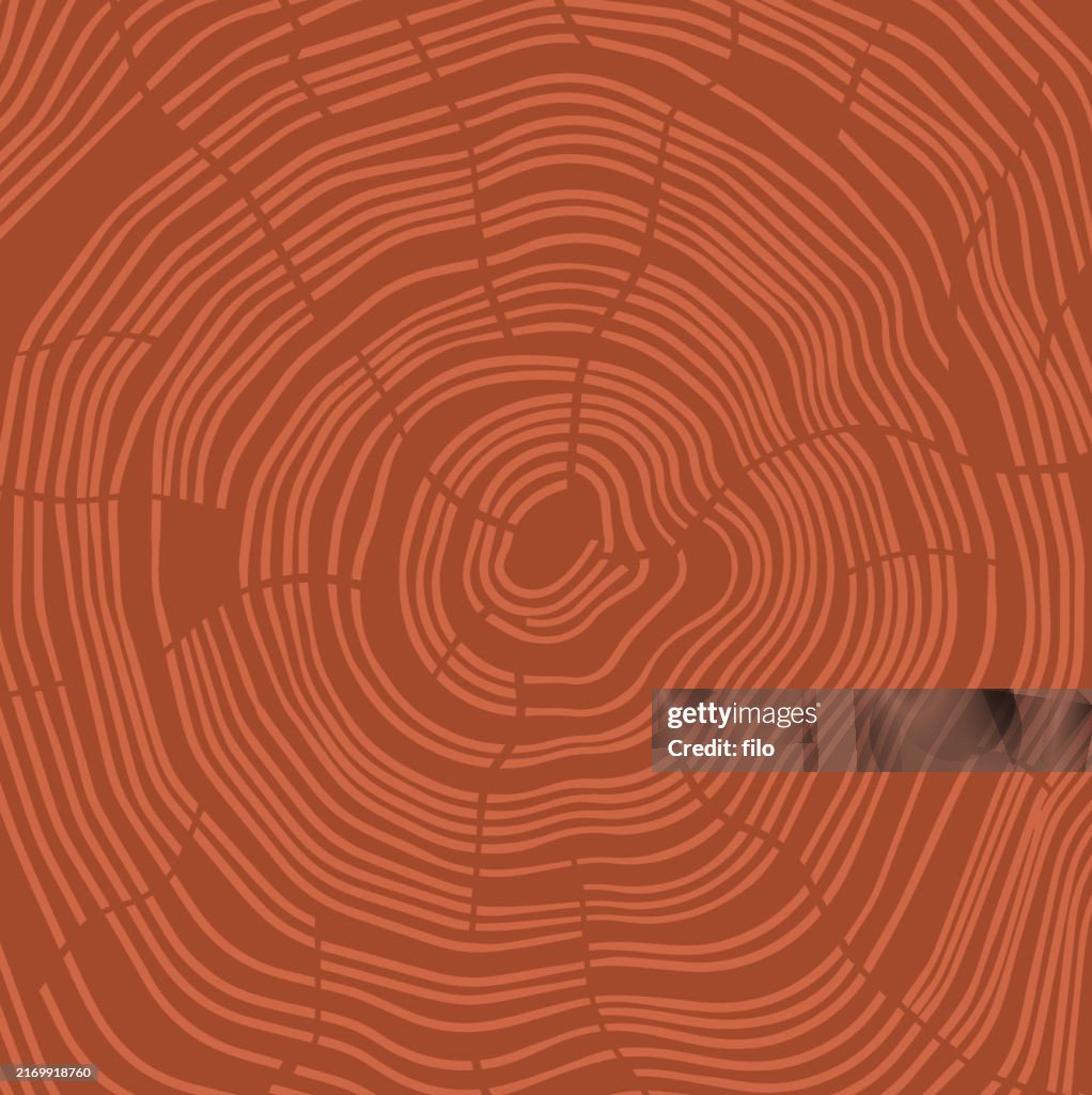 Baumringe, Holz, Holzmaserung, Hintergrund