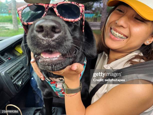 woman bonding with dog in the car - seat belt stock pictures, royalty-free photos & images