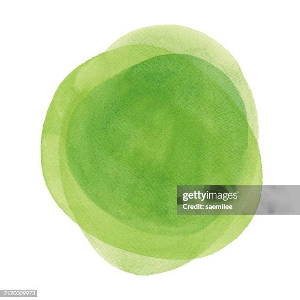 watercolor green abstract background - eucalyptus leaf stock illustrations