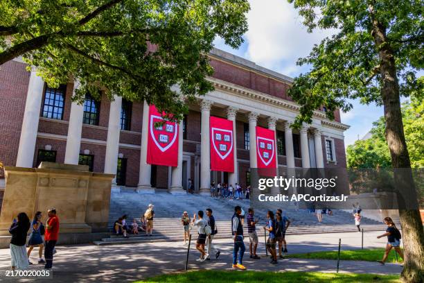 widener memorial library - harvard yard - harvard university - cambridge, massachusetts - ivy league universitäten stock-fotos und bilder