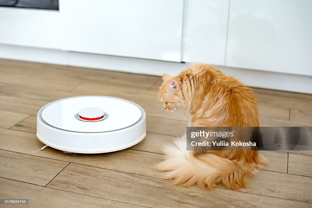 Robot vacuum cleaner cleans apartment with pets
