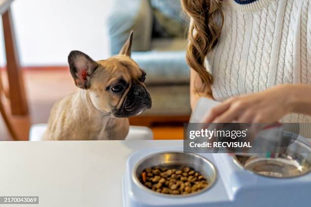 primo piano delle mani di una donna che nutre il cane versando crocchette di cibo secco nella ciotola del suo cane. - cibo per cani foto e immagini stock