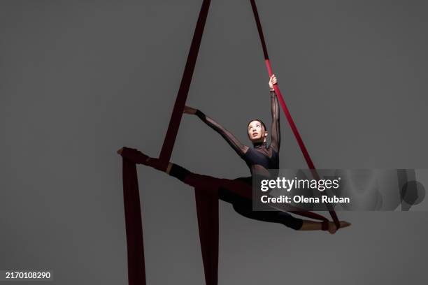 a female aerial silk performer. - acrobazia foto e immagini stock