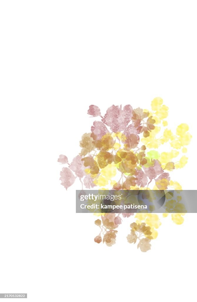 Abstract Watercolor Floral Border