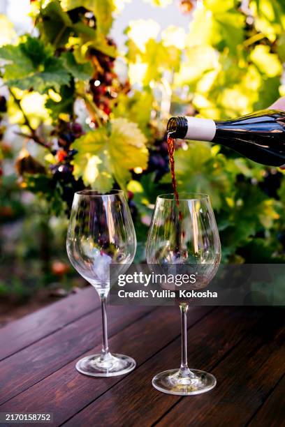 red wine is poured into a glass - vendimia fotografías e imágenes de stock