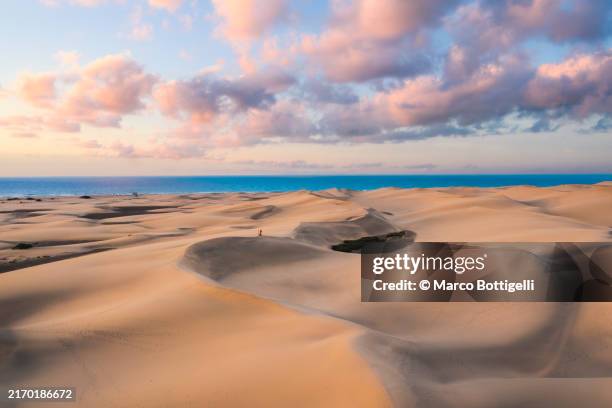 sand dunes of maspalomas, gran canaria, spain - duna de arena fotografías e imágenes de stock