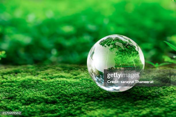 sustainability. crystal globe glass on green moss in forest to protect nature save and care world for sustainable. concept of the environment ecology and earth day. eco environment and esg concept. - umweltaktivist stock-fotos und bilder