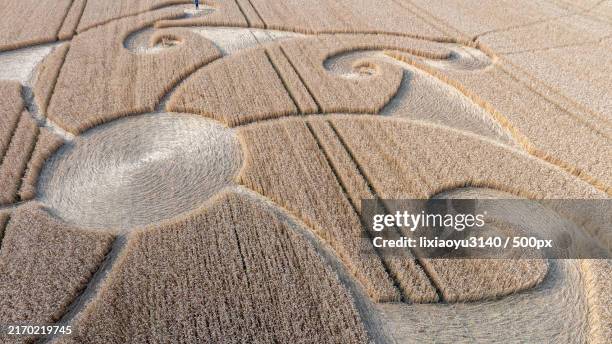 full frame shot of footpath,devizes,united kingdom,uk - círculo nas plantações - fotografias e filmes do acervo