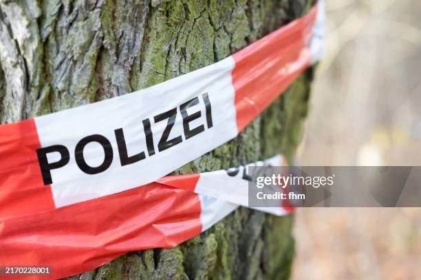 police line on a tree - forest crime scene stock pictures, royalty-free photos & images