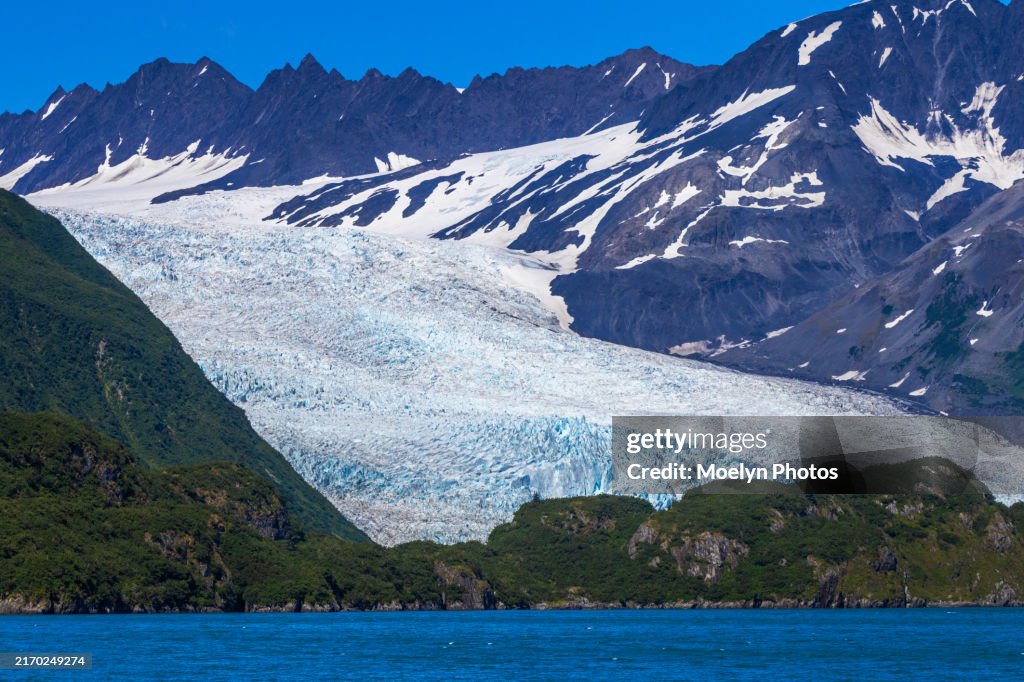 Bear Glacier and Mountain - Resurrection Bay AK