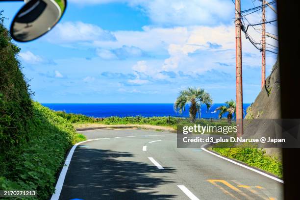 scenery from the bus window.the curve of the headland's tip, the blue sea and the palm trees. - izu peninsula stock pictures, royalty-free photos & images