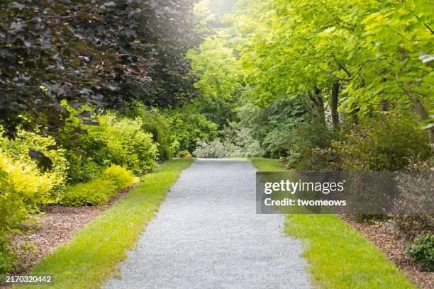 empty walking path in garden. - pebble path stock pictures, royalty-free photos & images