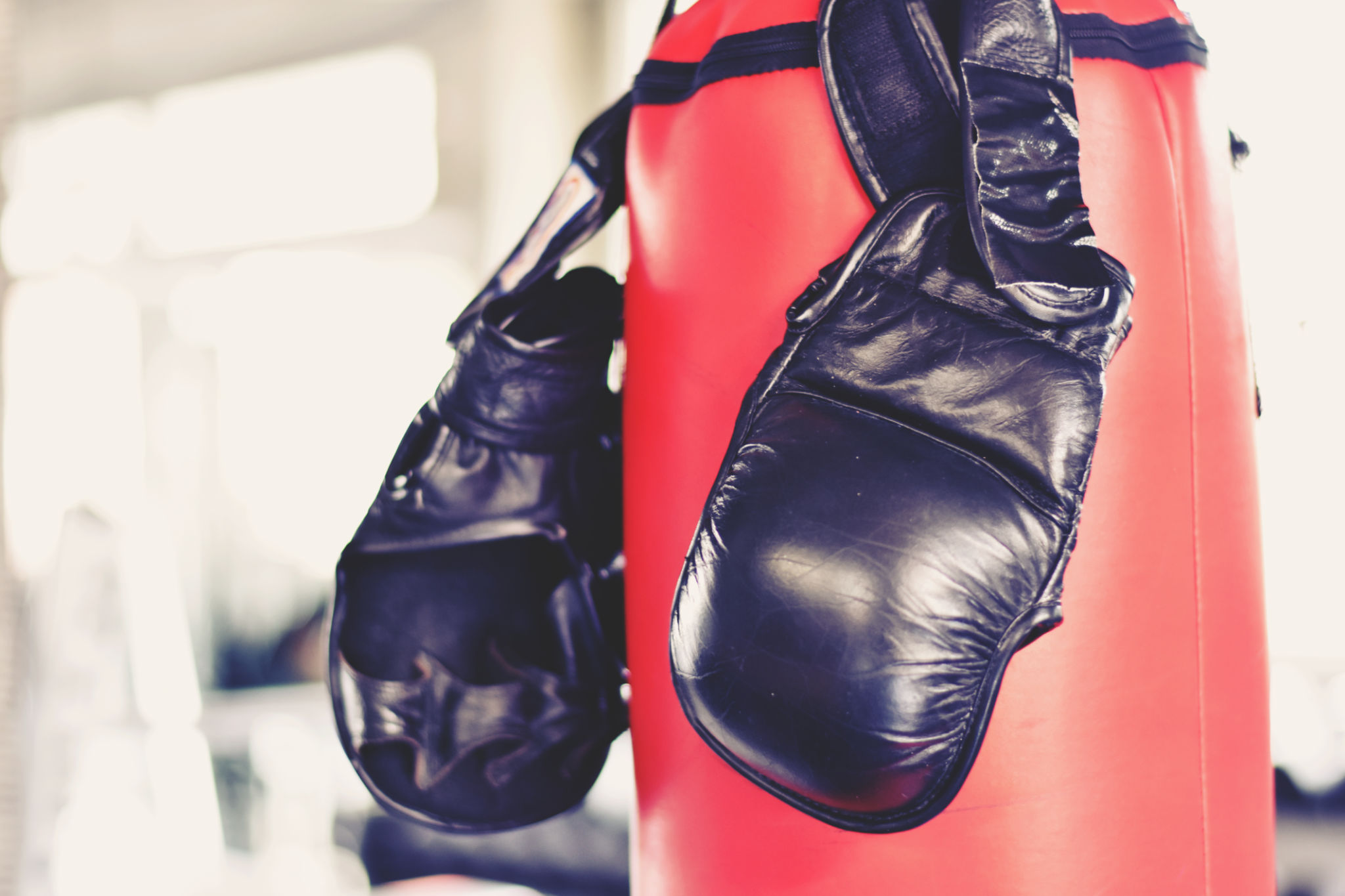 boxing gear