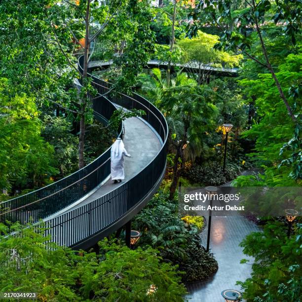 walking above the urban relaxing oasis with rainforest in doha - footbridge stock pictures, royalty-free photos & images