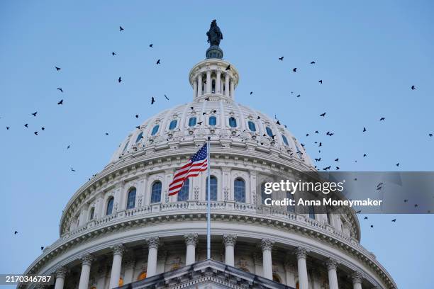Birds fly around the U.S. Capitol Dome during sunrise on September 05, 2024 in Washington, DC. The Senate and U.S. House of House of Representatives...