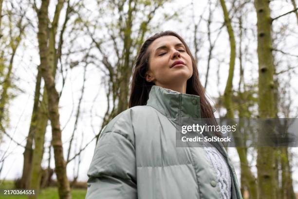 peaceful moments in the woods - off the beaten path expressão inglesa imagens e fotografias de stock