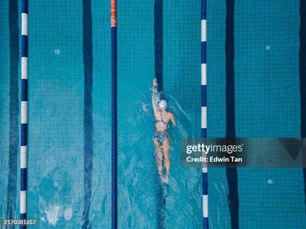 drone point of view on swimming pool asian chinese professional female swimmer freestyle swimming the front crawl stroke - zwemmer stockfoto's en -beelden