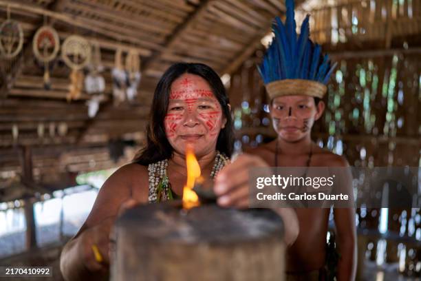 21,150 Aboriginal Ceremony Stock Photos, High-Res Pictures, and