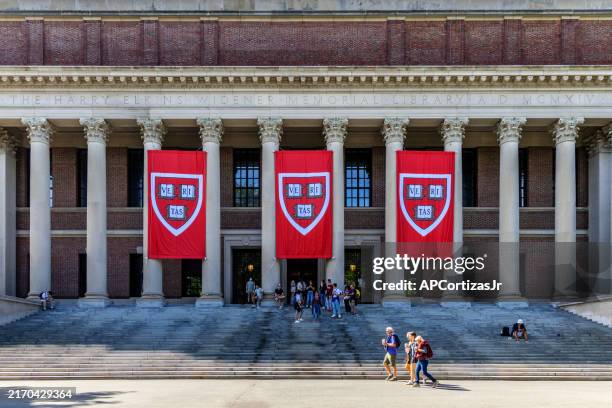 biblioteca widener memorial - harvard yard - universidad de harvard - cambridge massachusetts - universidad de harvard fotografías e imágenes de stock