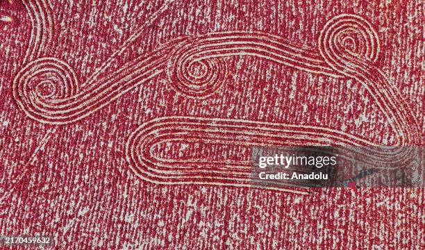 An aerial view of red peppers, produced in 26 thousand decares of land, are sundried as they are collected in the early hours and brought to the...
