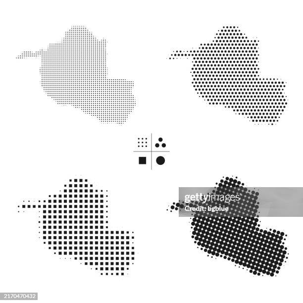 High Resolution Rondo Map Rondonia Maps Of Dots 4 Different Halftone Styles High-Res Vector ...