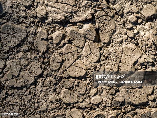 soil with mud and cracks due to drought. - arid climate stock pictures, royalty-free photos & images