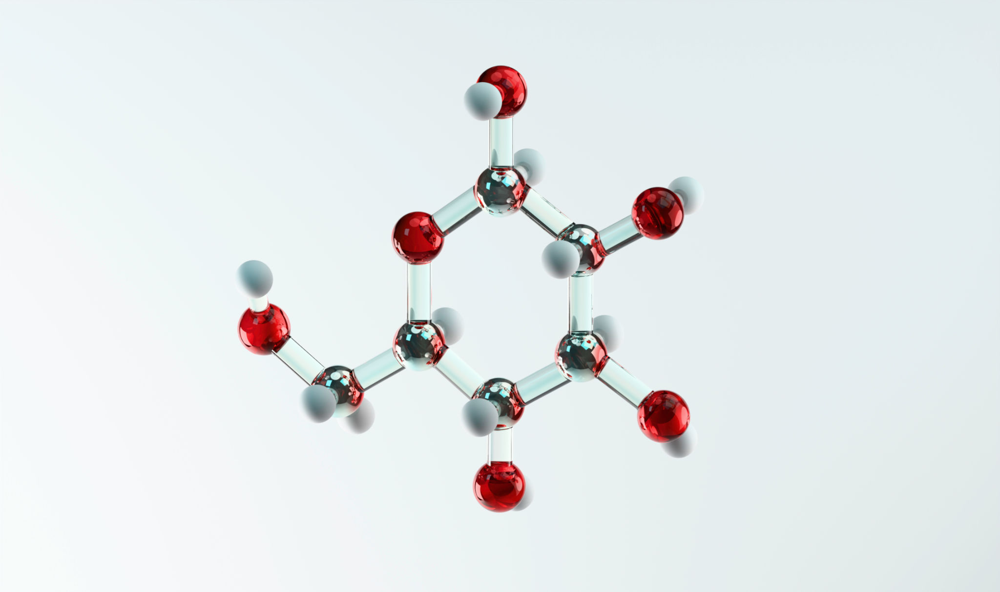 metabolism illustration