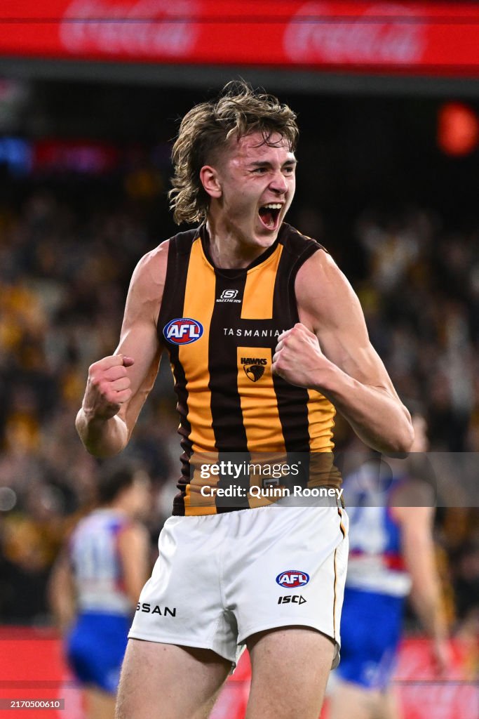 AFL Second Elimination Final - Western Bulldogs v Hawthorn