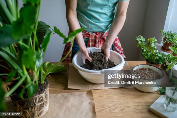 unrecognizable male hands preparing soil mix, setting clay pebbles for drainage before repotting - folding stock pictures, royalty-free photos & images