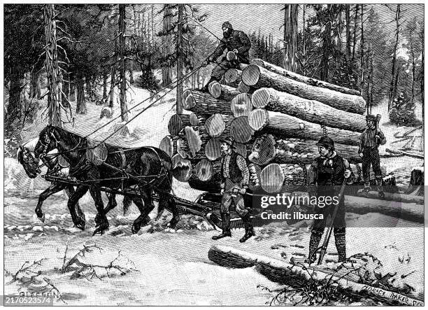 445 Retro Lumberjack Stock Photos, High-Res Pictures, and Images
