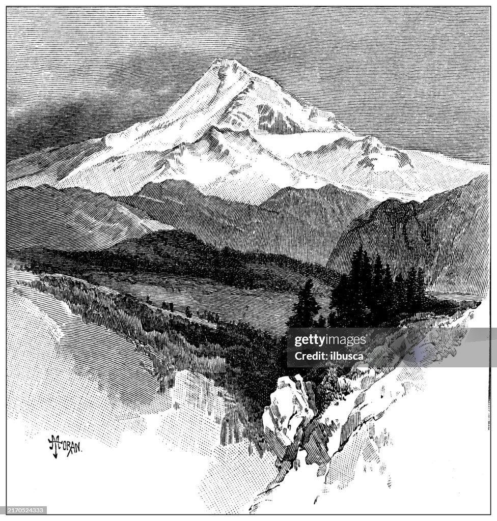 Antique Illustration: Mt Hood, Oregon