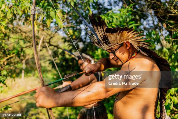 indigenous person from the wassú tribe using a bow and arrow in the forest - authentic native american headdress stock pictures, royalty-free photos & images