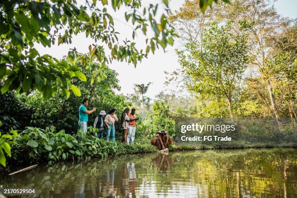 indigenous man showing how to use trap to catch fish during a tourist expedition outdoors - eco tourism stock pictures, royalty-free photos & images