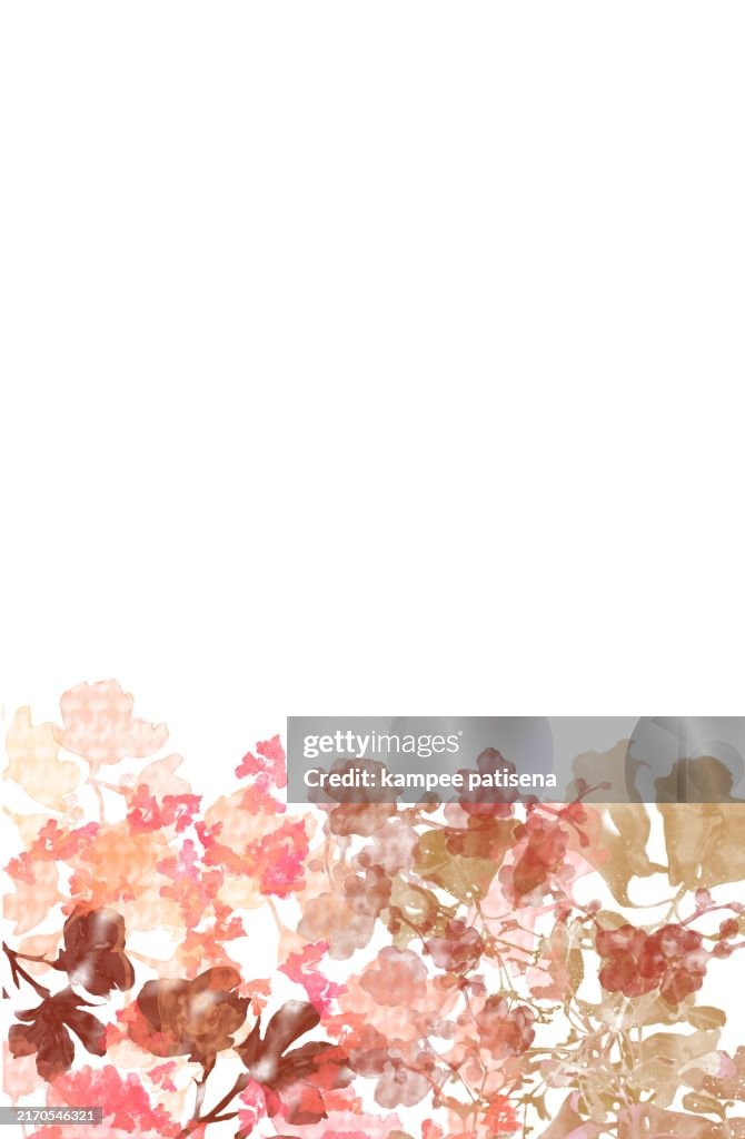 Abstract Watercolor Floral Border