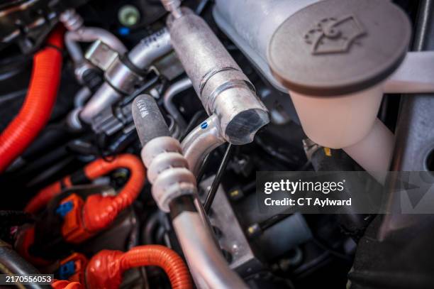 Mrs. Comonenets 2,316 Mrs T Hood Stock Photos, High-Res Pictures, and Images - Getty Images