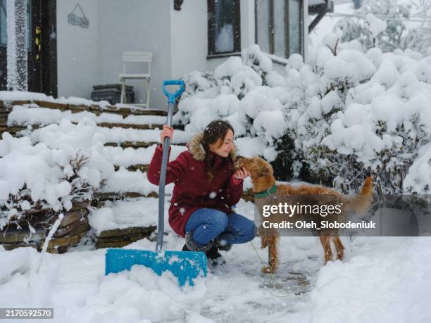 donna con cane che libera la passerella dopo la bufera di neve in periferia - scavare foto e immagini stock