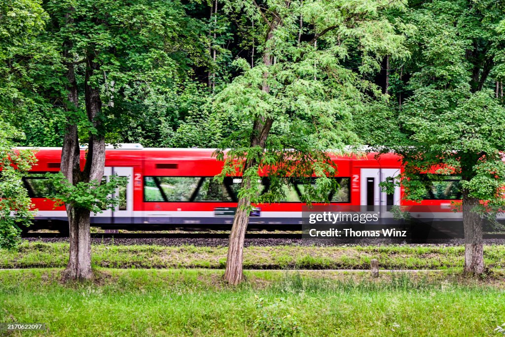 Red commuter train traveling through a forest