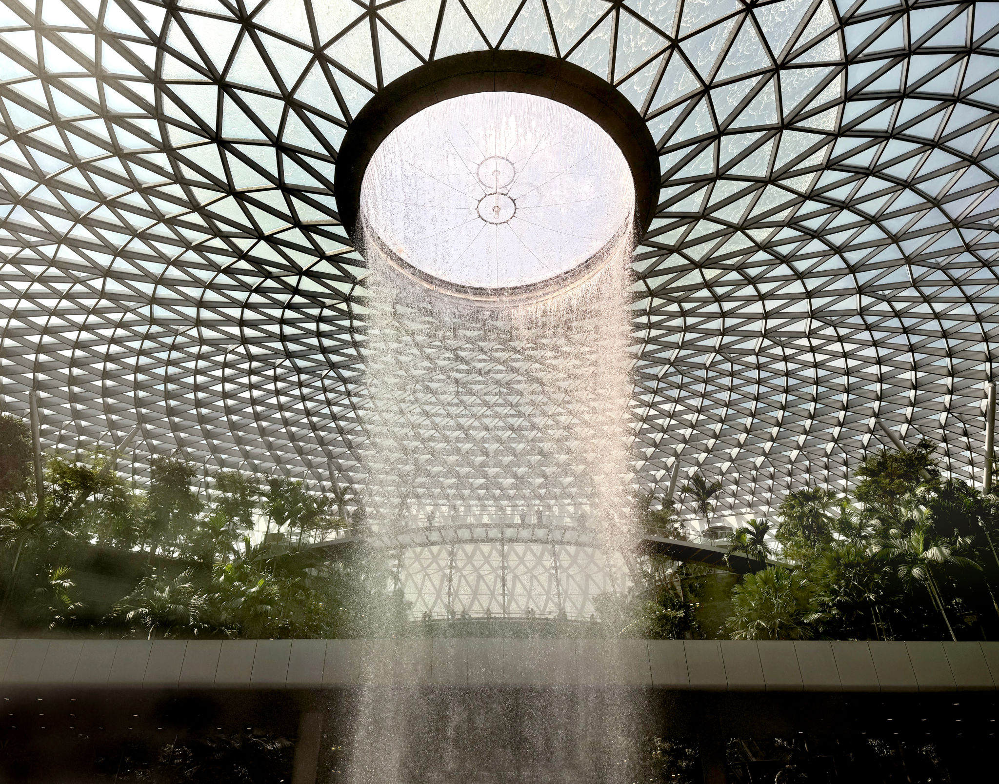 biophilic design