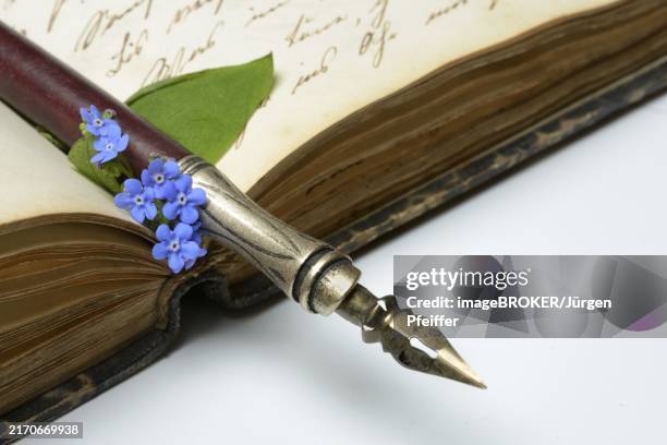 pen and flower on diary, forget-me-not - blue quill pen stock pictures, royalty-free photos & images