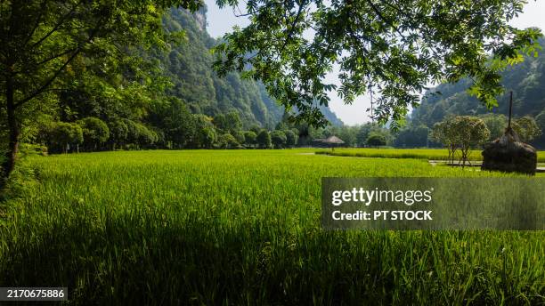 30,662 Hunan Province Stock Photos, High-Res Pictures, and Images ...