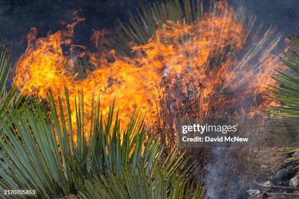 Bridge Fire Burns In Southern California, News Photo