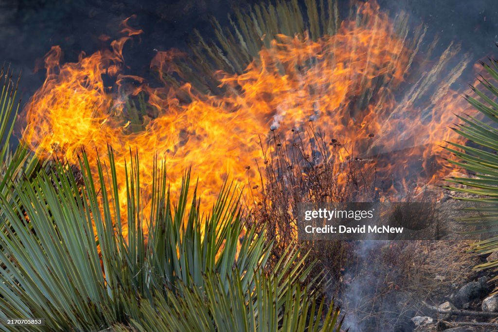 Bridge Fire Burns In Southern California